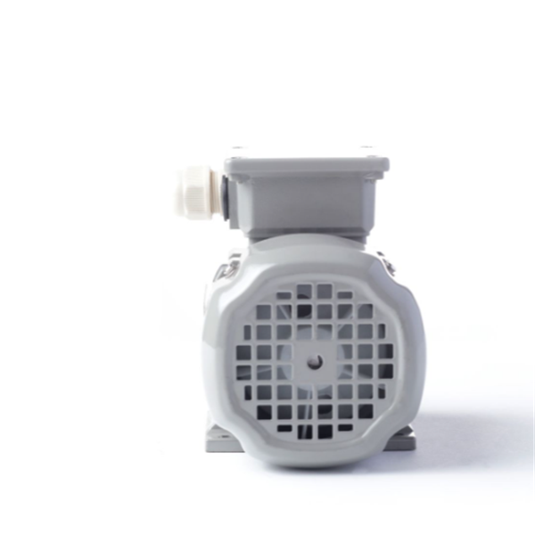 德國AC MOTOREN防火防爆電機E3-ASA 132 M 4