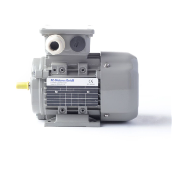 德國AC MOTOREN防火防爆電機E3-ASA 132 M 4