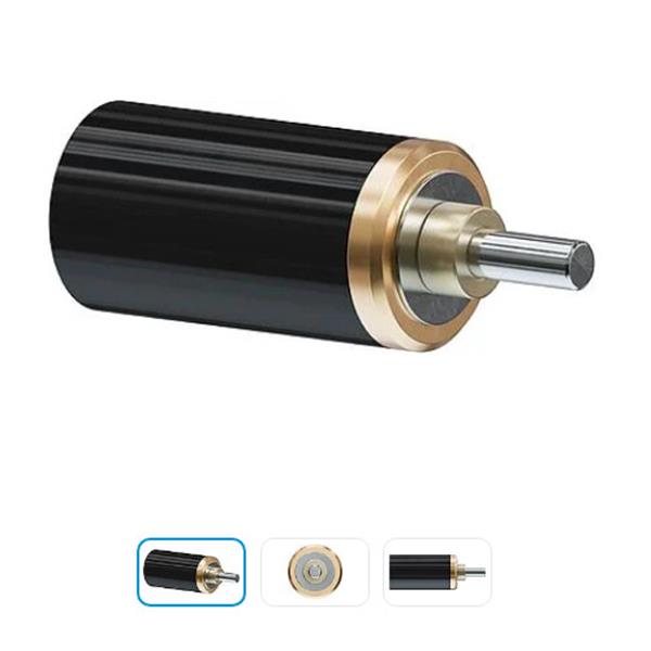 德國FAULHABER福爾哈貝線性執(zhí)行器32L 14:1 KWL0